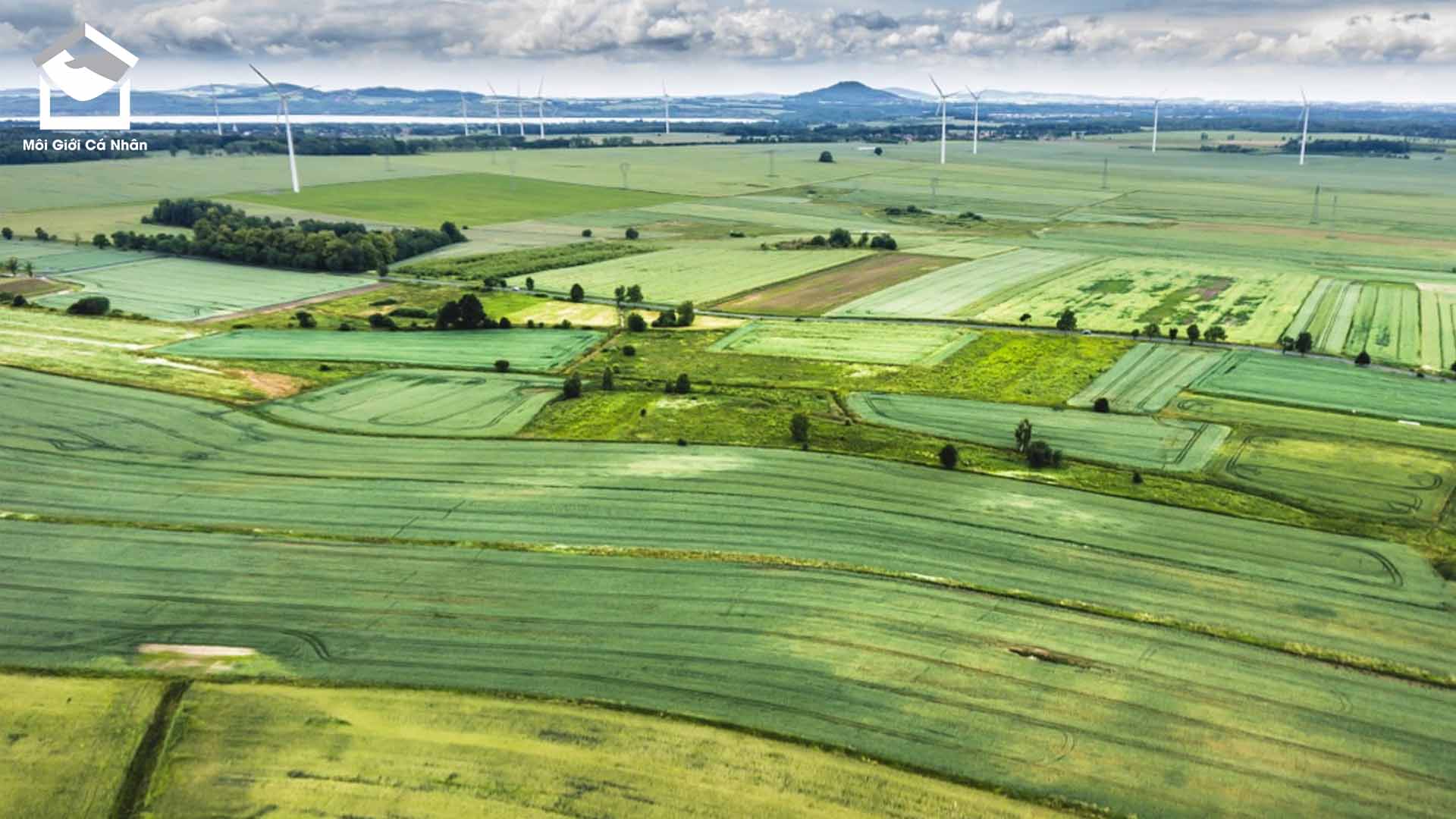 Thuế đất phi nông nghiệp